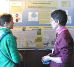 Workshop participants share ideas at the poster session