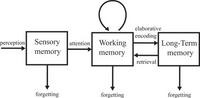 a conceptual model of how memory works