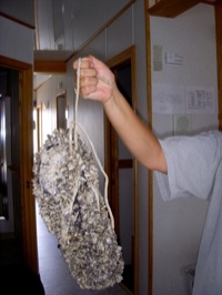 Quagga muscles