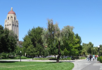 Stanford Career Prep 2010