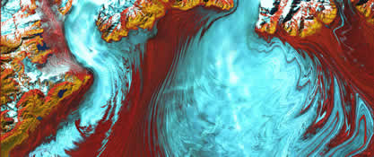 The tongue of the Malaspina Glacier, the largest glacier in Alaska