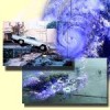 weather and climate