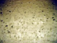bubbles in ice core