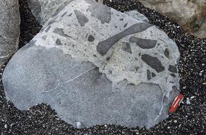 Mingled magmas, East Iceland