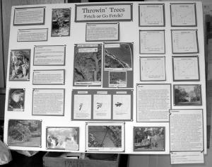 Poster about Hurricane Isabel by Greg Hancock