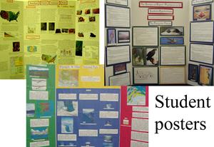Collage of student posters