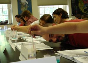 density layering developed in fluids of different temperatures and salinities