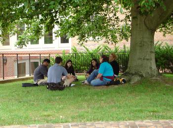 small group discussion