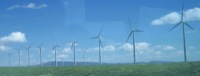 wind farm scenic