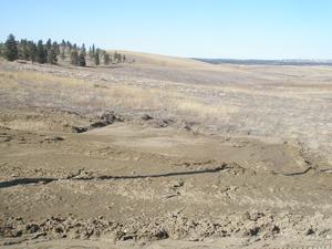 Reclaimed coal mine, Absaloka Mine, Montana