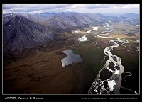 ANWR Image