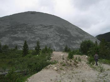 Cassiar Chrysotile