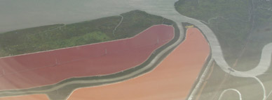 San Francisco Bay