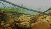 river geomorphology field 39 pic
