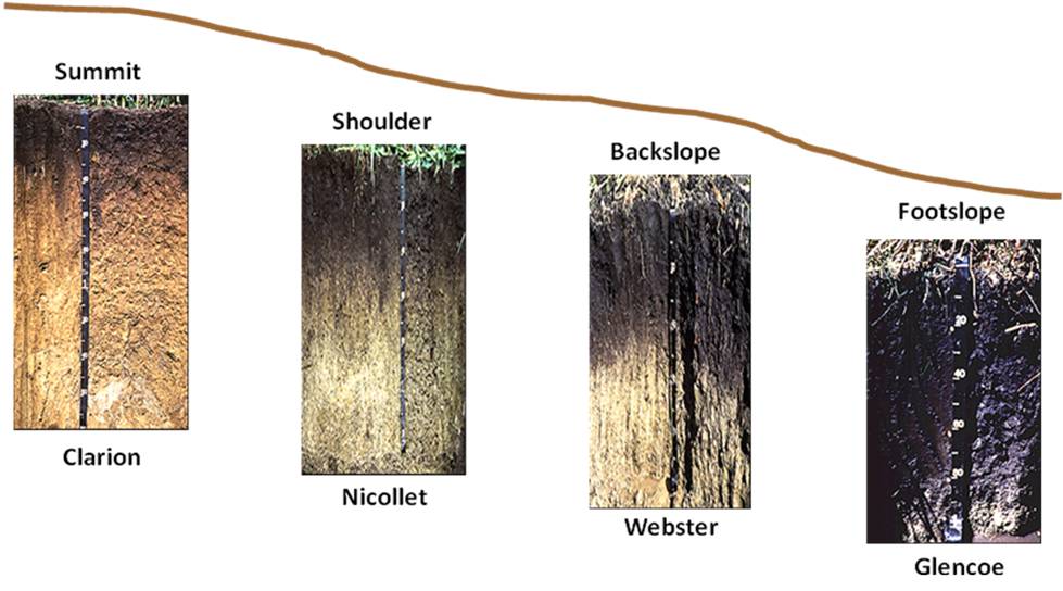 Soil Catena