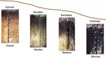 Clarion-Nicollet-Webster Catena Soil Profiles