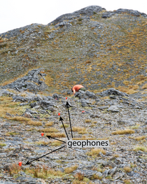 Deployment of geophones on an alpine bedrock surface 