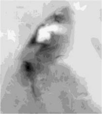 Digital Elevation Model (DEM)