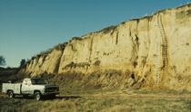 An Exposure of Loess near Hornbeak in western Tennessee
