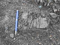 Figure 5. Weathering block of serpentinite in a recent debris flow deposit