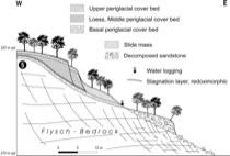 Figure 5: 