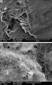 Figure 6. SEM images of serpentinite sand grain (above) and suspended clay fraction (below).