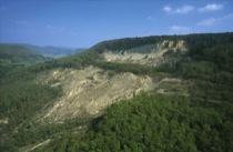 Hirschkopf Landslide