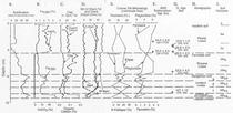Laboratory Data Delineating Multiple Loess Units near Hornbeak in western Tennessee