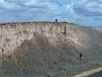 Palouse loess
