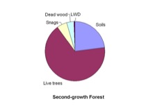 Pie chart showing distribution of carbon stores