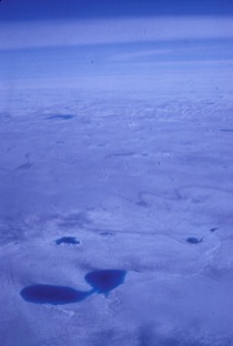 Meltwater Ponds on the Greenland Ice Sheet
