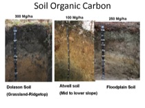 Soil profiles