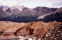 Spruce forest viewed across the Kennicott Glacier