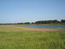 Swale depression of the Holla Bend cutoff
