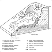 Three-dimensional model of a slump-earthflow 