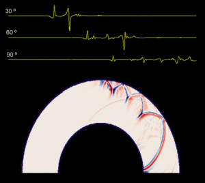Shear Wave Simulation