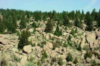 Outcrops of the Boulder Batholith form fanciful shapes due to spheroidal weathering