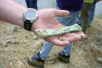 Mineral replacement in sediments along Silver Bow Creek turns bones to copper