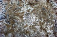 Mineral crust has formed on the floodpain of SilverBow Creek