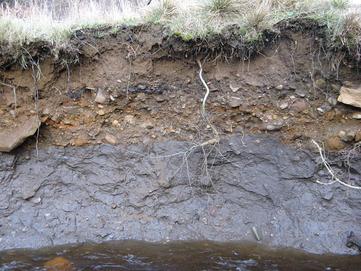 Soil profile, Murieston Water