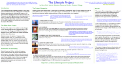 Lifestyle project poster