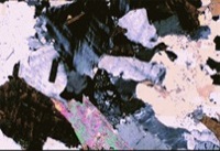Biotite granite thin saction