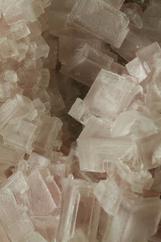 Marli Miller Halite photo