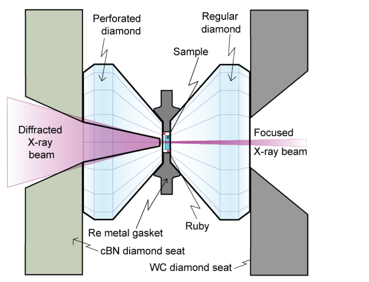 Diamond Anvil Cell