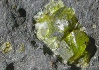 Olivine crystal in basalt