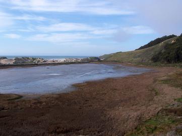 Pescadero Marsh