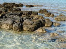 Stromatolites