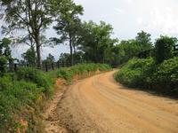 View of Farmfield Road in Aiken County, South Carolina.
