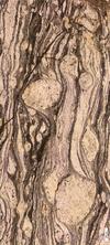 Mylonite thin section