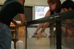 Students pouring milk into the flume